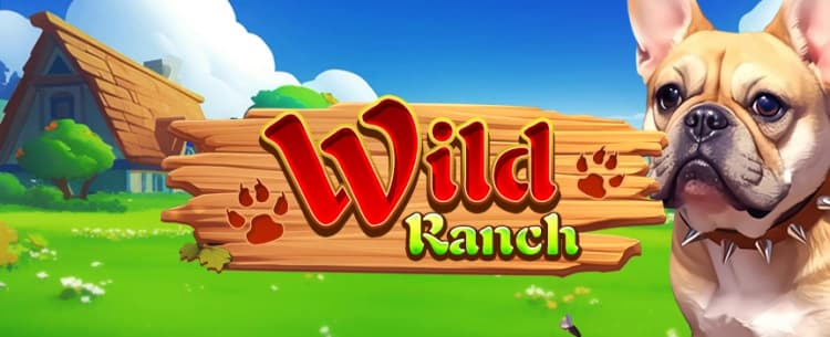 Wild Ranch 